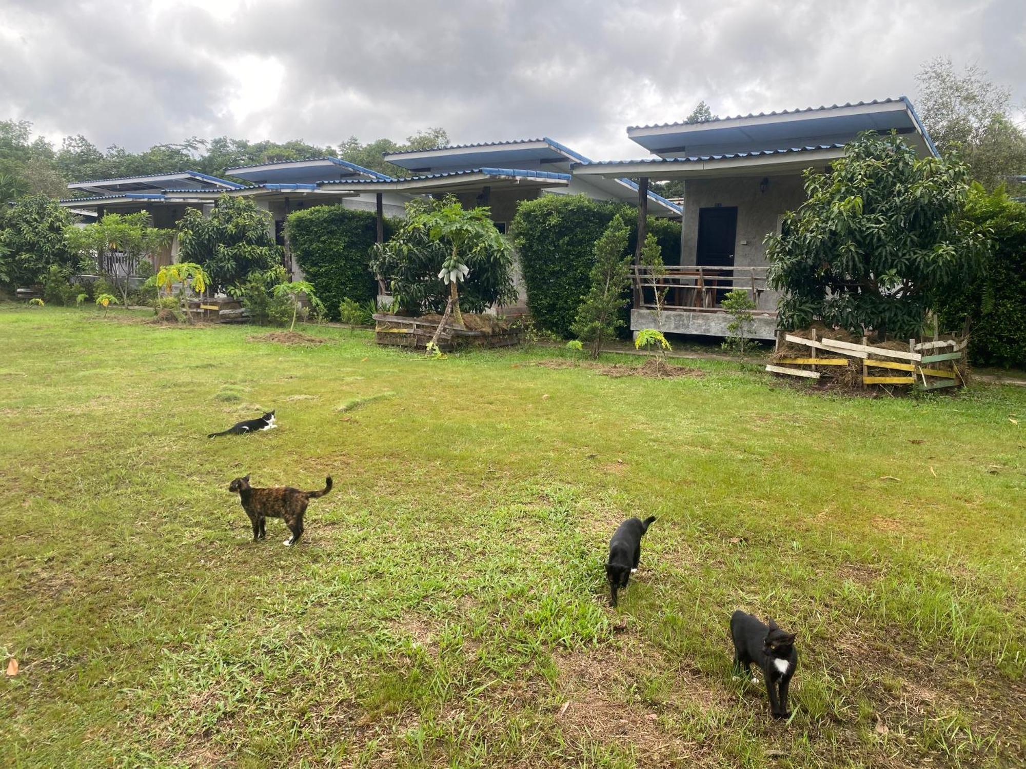 Pd Guesthouse Ko Kut Exterior photo